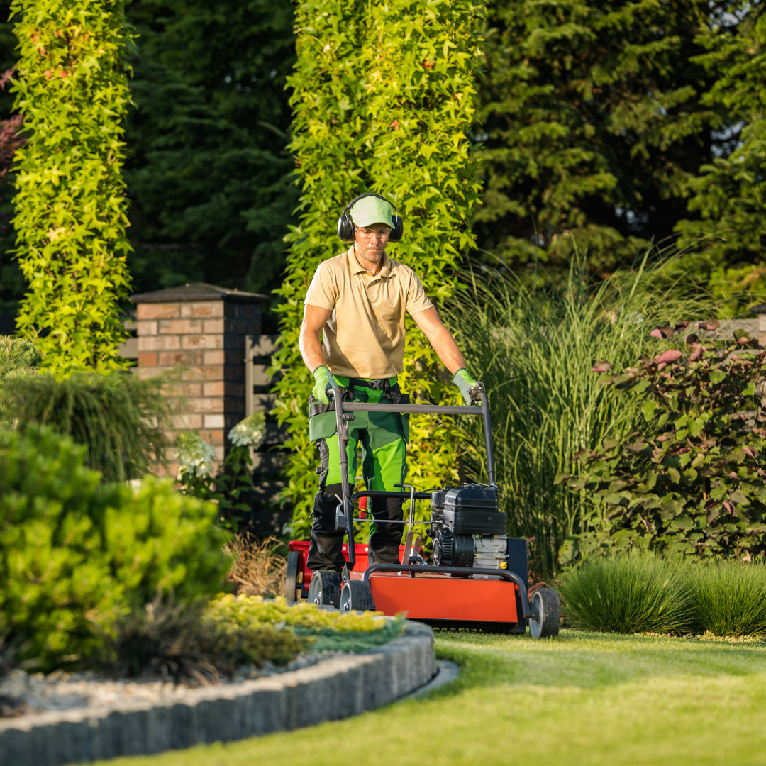 Lawn Care & Maintenance